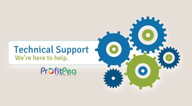 provide IT technical support