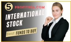 5 Best International Stock Funds to Buy