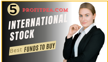 5 Best International Stock Funds to Buy